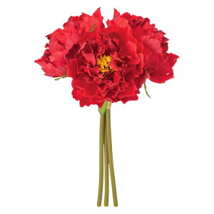 �y������ �����zMAGIQ ���� �A�[�e�B�t�B�V�����t�����[ �x�e�B�s�I�j�[�o���h�� ���b�h #3 RED FM005715-003