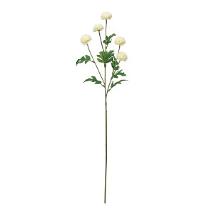 yz MAGIQ  ԍ K[f} N[zCg A[eBtBVt[ } e FM302525-001 ReCO TXeiuyi A[gt[z