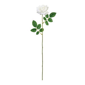 yz MAGIQ  ԍ uAg[Y zCg A[eBtBVt[ [Y o FM302526-001 ReCO TXeiuyi A[gt[z