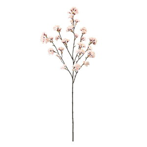 yz MAGIQ  ԍ W̍ J CgsN A[eBtBVt[  FM008069yi A[gt[z