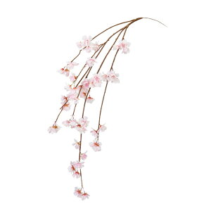 yz MAGIQ  ԍ ͂ˍoC N[sN A[eBtBVt[  FM005532yi A[gt[z