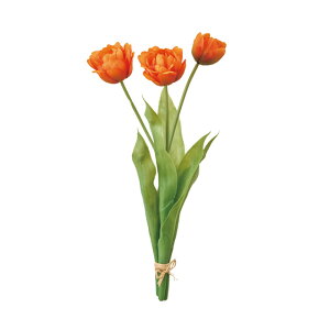 yz MAGIQ  ԍ `[bvoh IW 1 A[eBtBVt[ `[bv FM008710-009yi A[gt[z