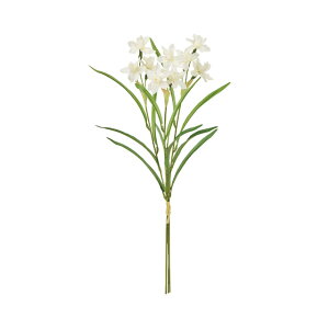 yz MAGIQ  ԍ oh N[zCg 1 A[eBtBVt[  FM003082-101yi A[gt[z