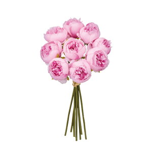 yz MAGIQ  ԍ A[[sIj[u[P _[NsN 1 A[eBtBVt[ sIj[ O FM000409-002yi A[gt[z