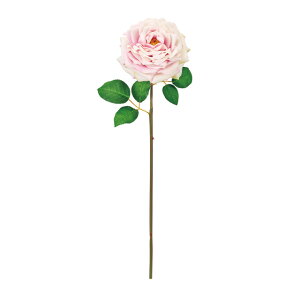 yz MAGIQ  ԍ _}XNO[Y zCg^sN A[eBtBVt[ [Y o FM000380-048yi A[gt[z