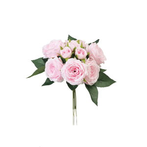 yz MAGIQ  ԍ pXe[YsbN CgsN 1 A[eBtBVt[ [Y o FM003230-002yi A[gt[z