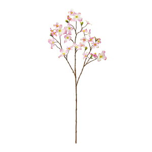 yz MAGIQ  ԍ pt@Ԃ݂ CbNsN A[eBtBVt[ Ԃ݂ hbOEbh FM004722-050yi A[gt[z