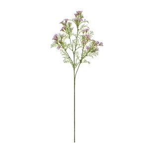 yz MAGIQ  ԍ ptB[Xt[ p[v A[eBtBVt[ ݑ Wv\ FM002075-017yi A[gt[z