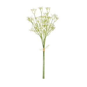 yz MAGIQ  ԍ N[Wv\oh zCg 1 A[eBtBVt[ ݑ Wv\ FM001586-001yi A[gt[z