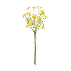 yz MAGIQ  ԍ N[Wv\oh CG[ 1 A[eBtBVt[ ݑ Wv\ FM001586-004yi A[gt[z