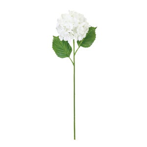 yz MAGIQ  ԍ K[fnChWA N[zCg A[eBtBVt[  nChWA FM302507-001yi A[gt[z