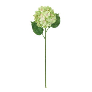 yz MAGIQ  ԍ K[fnChWA [u^O[ A[eBtBVt[  nChWA FM302507-023yi A[gt[z