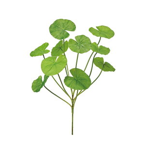 yz MAGIQ  ԍ XC[tubV O[ A[eBtBVt[ EH[^[[ @̗t FG000773yi A[gt[z