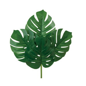 y zXe4{g _[NO[ tFCNO[ A[eBtBVt[ fBXvC   Xe FK002401-024yi A[gt[z