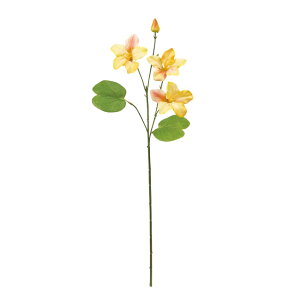 yz MAGIQ  ԍ pfBoEqjA CG[^IW A[eBtBVt[ gsJt[ FM003120-004yi A[gt[z