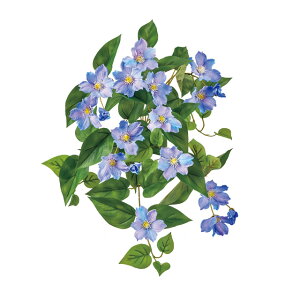 yz MAGIQ  ԍ TUN}`XubV u[^x_[ A[eBtBVt[ N}`X FM002454-011yi A[gt[z