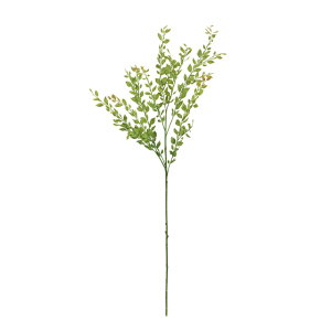 yz MAGIQ  ԍ XJXOXv[ CG[O[ tFCNO[ A[eBtBVt[ fBXvC ~j[t FG000152yi A[gt[z