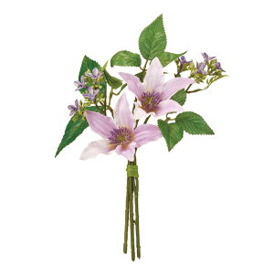 yz MAGIQ  ԍ Z[kN}`Xu[P CbN 1 A[eBtBVt[ N}`X FM001225-050yi A[gt[z