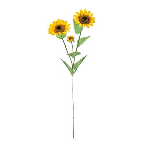 yz MAGIQ  ԍ TtTt[ CG[ A[eBtBVt[ Ђ܂ FM004941yi A[gt[z