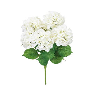 yz MAGIQ  ԍ uCgnChWAubV N[zCg A[eBtBVt[  nChWA FM007920-001yi A[gt[z