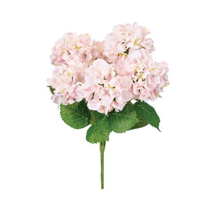 yz MAGIQ  ԍ uCgnChWAubV CgsN A[eBtBVt[  nChWA FM007920-002yi A[gt[z