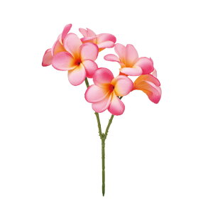 yz MAGIQ  ԍ A}_vA zbgsN A[eBtBVt[ vA gsJt[ FM001613-052yi A[gt[z