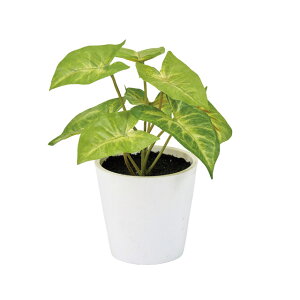 yz MAGIQ  VSj[v`|bg O[ tFCNO[ CeAO[ ϗtA ~jϗt A[eBtBVt[ FZ009201yi A[gt[ tFC