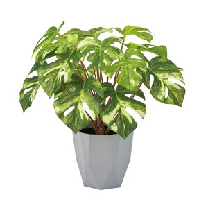 yz MAGIQ  XvbgtB~j|bg O[ tFCNO[ CeAO[ ϗtA ~jϗt A[eBtBVt[ FZ009197yi A[gt[ tF