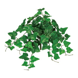 yz MAGIQ  ԍ RwfACr[ubV O[ tFCNO[ A[eBtBVt[ R RɂO[ fBXvC ACr[ FG612506yi A