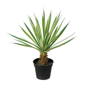 yz MAGIQ  bJ~j|bg O[ tFCNO[ CeAO[ ϗtA A[eBtBVt[ FG000932yi A[gt[z