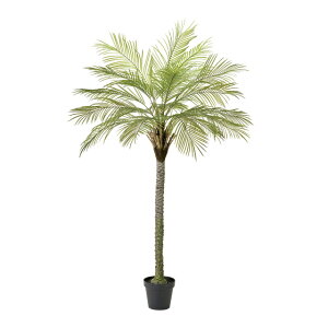 yz MAGIQ  tFjbNXWCg|bg O[ tFCNO[ WCg CeAO[ ϗtA A[eBtBVt[ FG006090yi A[gt