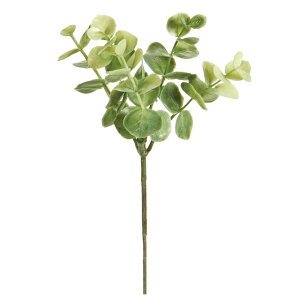 yz MAGIQ  ԍ [JvsbN ~L[O[ A[eBtBVt[ FG008796-022 [J yi A[gt[z