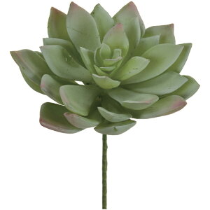 yz MAGIQ  ԍ GPxA [ O[sN A[eBtBVt[ A FG001734-022 yi A[gt[z