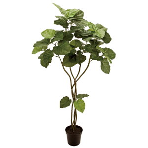 yz MAGIQ   ԍ Ex[^ cCXg 5F ϗtA tFCNO[ A[eBtBVt[ FG005226 y^ցz yi A[gt[ CeA rO