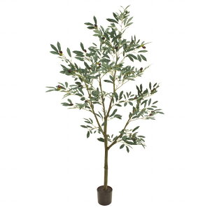 yz MAGIQ   ԍ I[uc[|bg5F ϗtA tFCNO[ A[eBtBVt[ FG003910 y^ցz yi A[gt[z