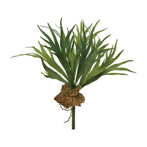 yz MAGIQ  ԍ rJNV_iREjtFCNO[ A[eBtBVt[ FG001610 V_ yi A[gt[z