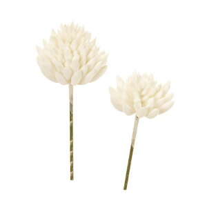 yz MAGIQ  ԍ Z_A\[gsbN zCg A[eBtBVt[ A FG001632-001 yi A[gt[z