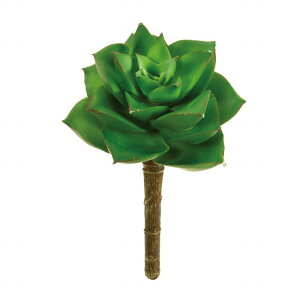 y z[YGPxAL A[eBtBVO[  A FG006933 yA[gt[z