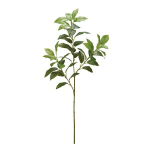 yz MAGIQ  ԍ VLr O[ A[eBtBVt[  VL~ t[l FG000210 yi A[gt[z