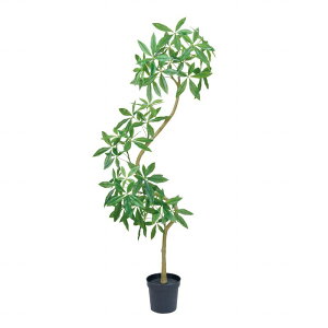 y z pLGKgXpC ϗtA tFCNO[ CeAO[ ԁy^ցz FG002255 ylHϗtA CeA rO ItBX tFCNO