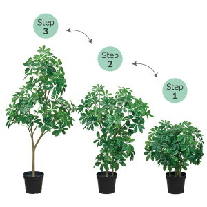 y zVFt|bg3WAY 1 gݗĎE3X^C`FW ϗtA tFCNO[ CeAO[  FG000779