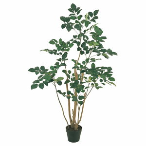 yz MAGIQ   ԍ |VX|bg M ϗtA tFCNO[ A[eBtBVt[ FG088210 y^ցz yi A[gt[z