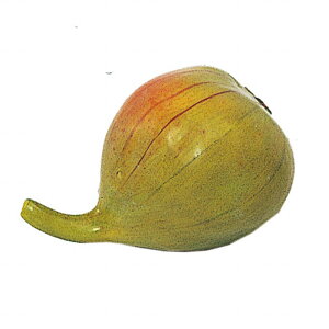 y zC`WN O[ tFCNt[h A[eBtBVt[ ʕ FW032801 yA[gt[ tFCN t[cz