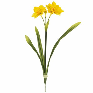 yz MAGIQ  ԍ { CG[ A[eBtBVt[ FM003684-004  yi A[gt[z