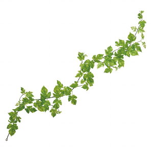 yz MAGIQ  ԍ Go[O[vK[h O[ A[eBtBVt[ O[v[t FG302288 ReCO TXeiu yi A[gt[z