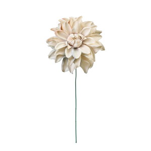 yz MAGIQ  ԍ H߃_AsbN N[^O[ A[eBtBVt[ _A FM008563-037 yi A[gt[z