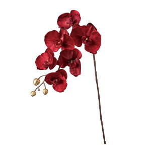 yz MAGIQ  ԍ t@mx bh A[eBtBVt[ Ӓ t@m  FJ003716-003 yi A[gt[z