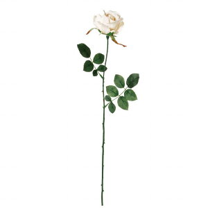 yz MAGIQ  ԍ ~VF[Y oj A[eBtBVt[ o FM000115-030 yi A[gt[z