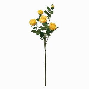 �y�����z������ MAGIQ ���� �ԍ� �v���}�X�v���[���[�Y �C�G���[ �A�[�e�B�t�B�V�����t�����[ ���[�Y �o�� FM002295-004 �y���i�� �A�[�g�t�����[�z