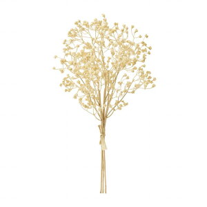 yz MAGIQ  ԍ VNWv\ N[ A[eBtBVt[ ݑ FM001095-037 yi A[gt[z